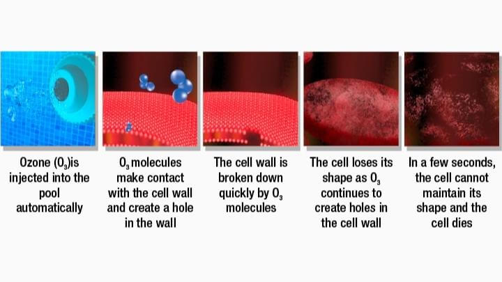 Continuous Oxidation with Ozone